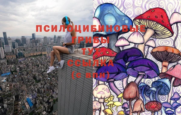 apvp Арсеньев