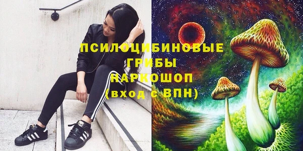 ПСИЛОЦИБИНОВЫЕ ГРИБЫ Богданович