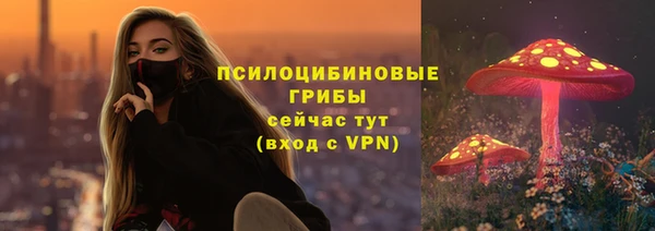 твердый Армянск