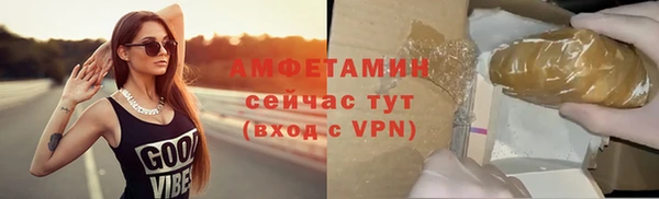 ПСИЛОЦИБИНОВЫЕ ГРИБЫ Богданович