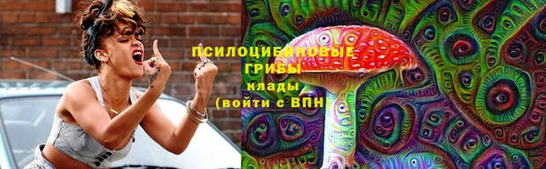 ПСИЛОЦИБИНОВЫЕ ГРИБЫ Богданович