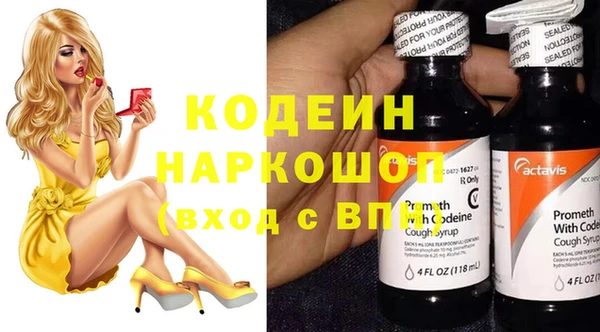 ПСИЛОЦИБИНОВЫЕ ГРИБЫ Богданович