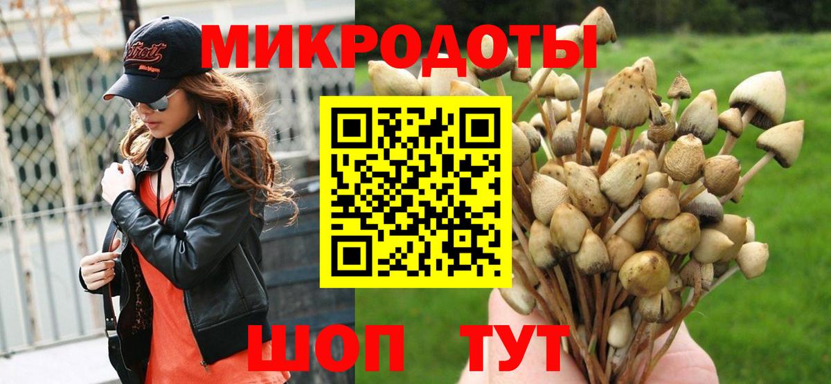 Галлюциногенные грибы Psilocybe Спасск-Дальний