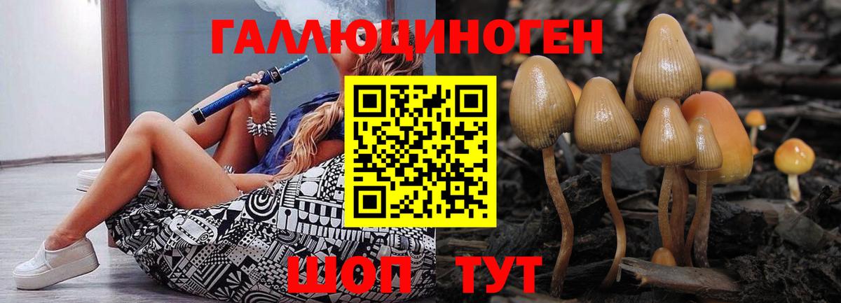 Спасск-Дальний  Галлюциногенные грибы ЛСД  хочу наркоту  Вход с VPN 