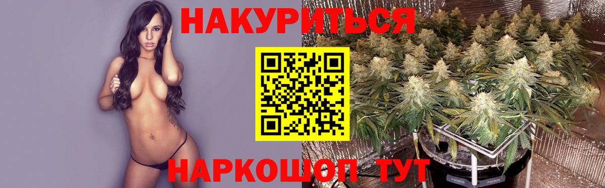 Бошки Шишки планчик Спасск-Дальний